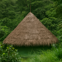 Choose Your Retreat - Ayahuasca retreats in Perú