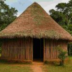Best Ayahuasca Retreats in Peru Complete Guide