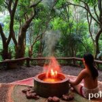 Ayahuasca Retreats in Lima: What You Should Know